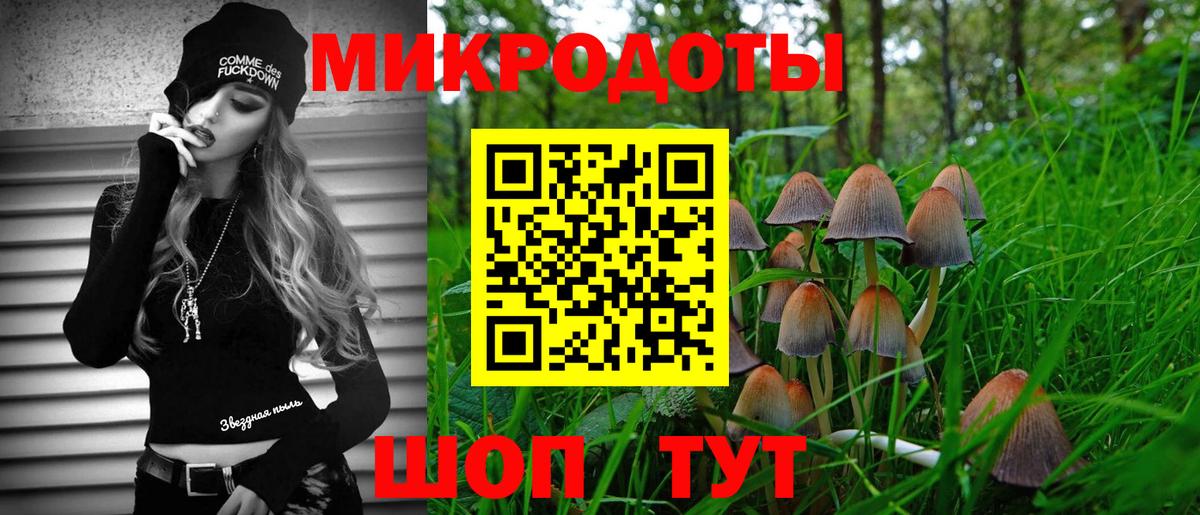 Галлюциногенные грибы Psilocybine cubensis Котельники